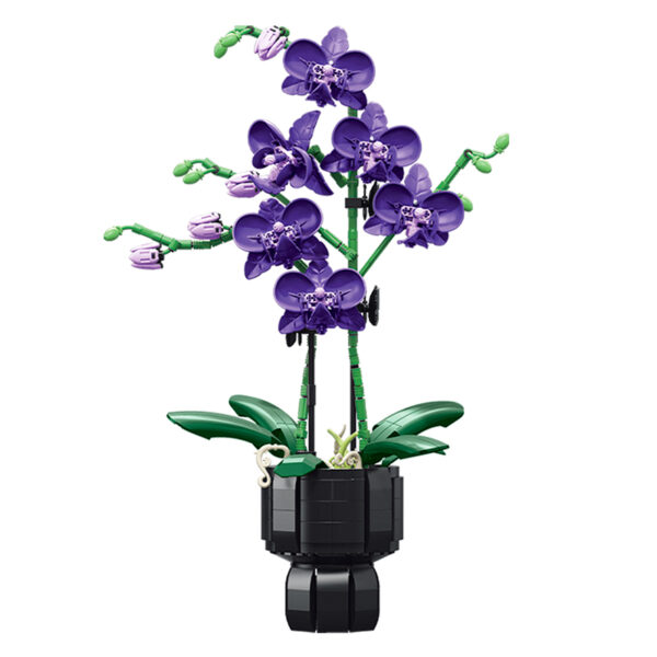 JIESTAR - Orchid and Violet Charm | Set JJ9235