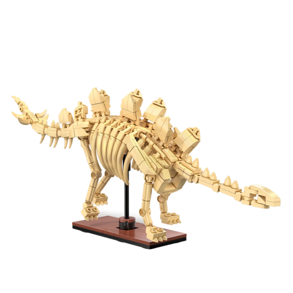CaDA Dinosaur Fossils Stegosaurus C59012W