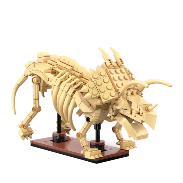 CaDA Dinosaur Fossils Triceratops C59013W23