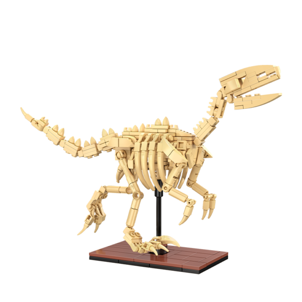 CaDA Dinosaur Fossils Velociraptor C59014W